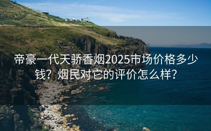 帝豪一代天骄香烟2025市场价格多少钱？烟民对它的评价怎么样？