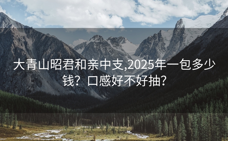 大青山昭君和亲中支,2025年一包多少钱？口感好不好抽？