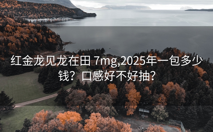 红金龙见龙在田 7mg,2025年一包多少钱？口感好不好抽？
