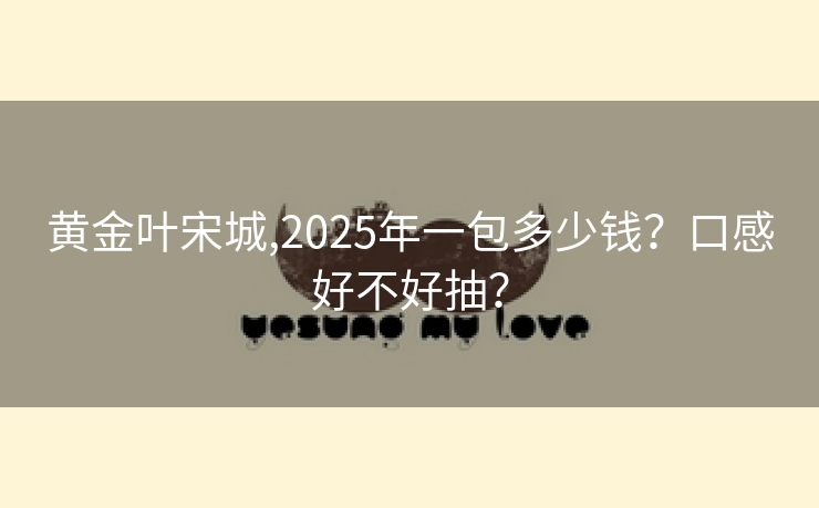 黄金叶宋城,2025年一包多少钱？口感好不好抽？