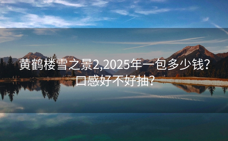 黄鹤楼雪之景2,2025年一包多少钱？口感好不好抽？