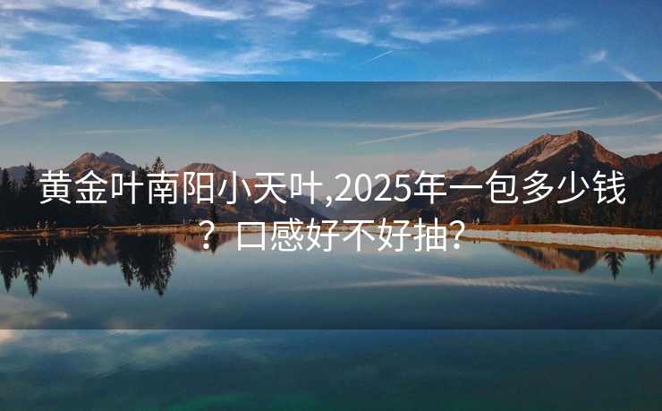 黄金叶南阳小天叶,2025年一包多少钱？口感好不好抽？