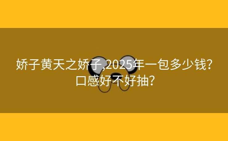 娇子黄天之娇子,2025年一包多少钱？口感好不好抽？