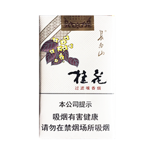 2025年长白山香烟价格表图,长白山香烟价格及图片  第37张