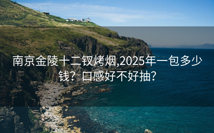 南京金陵十二钗烤烟,2025年一包多少钱？口感好不好抽？