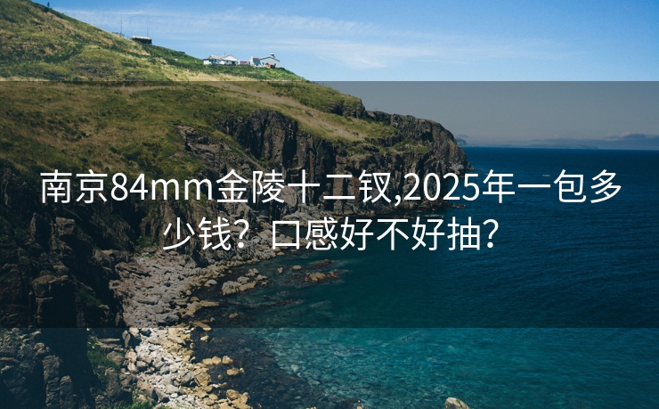 南京84mm金陵十二钗,2025年一包多少钱？口感好不好抽？