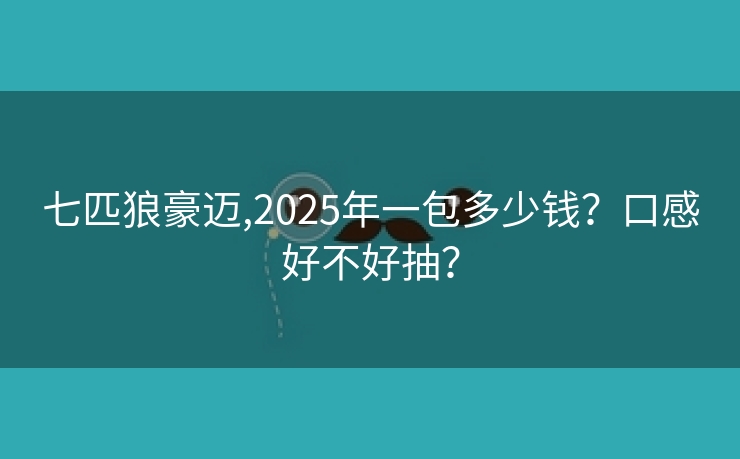 七匹狼豪迈,2025年一包多少钱？口感好不好抽？