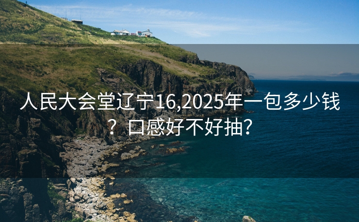 人民大会堂辽宁16,2025年一包多少钱？口感好不好抽？