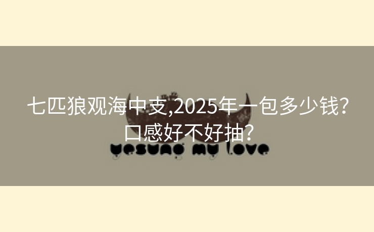 七匹狼观海中支,2025年一包多少钱？口感好不好抽？