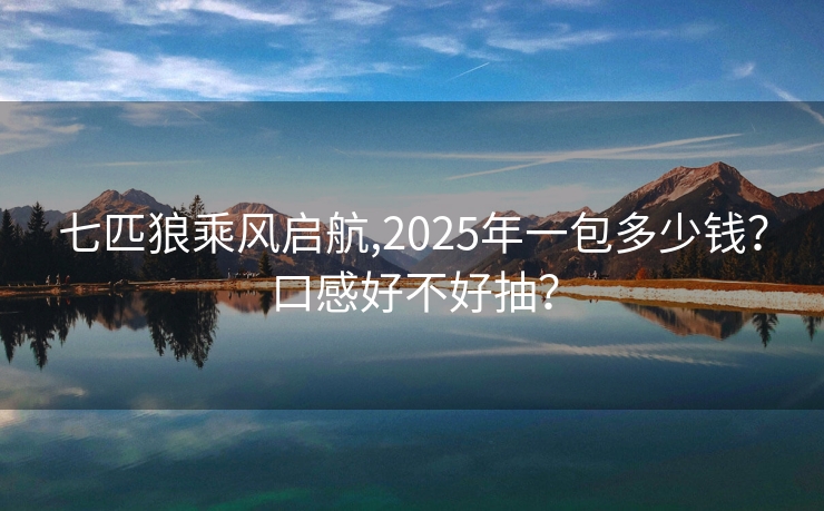 七匹狼乘风启航,2025年一包多少钱？口感好不好抽？