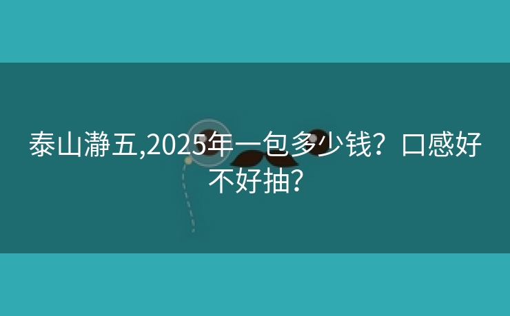 泰山瀞五,2025年一包多少钱？口感好不好抽？