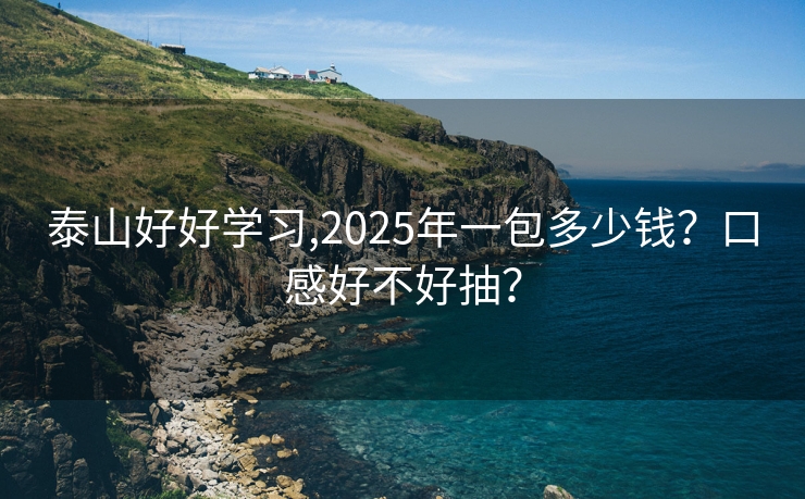 泰山好好学习,2025年一包多少钱？口感好不好抽？