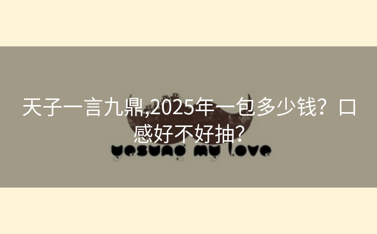 天子一言九鼎,2025年一包多少钱？口感好不好抽？