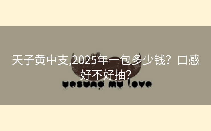 天子黄中支,2025年一包多少钱？口感好不好抽？