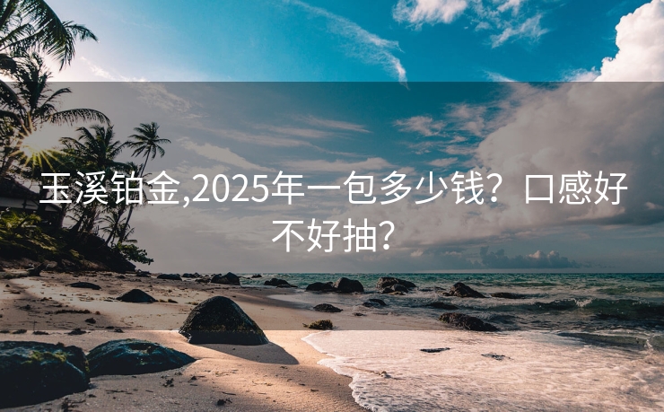玉溪铂金,2025年一包多少钱？口感好不好抽？
