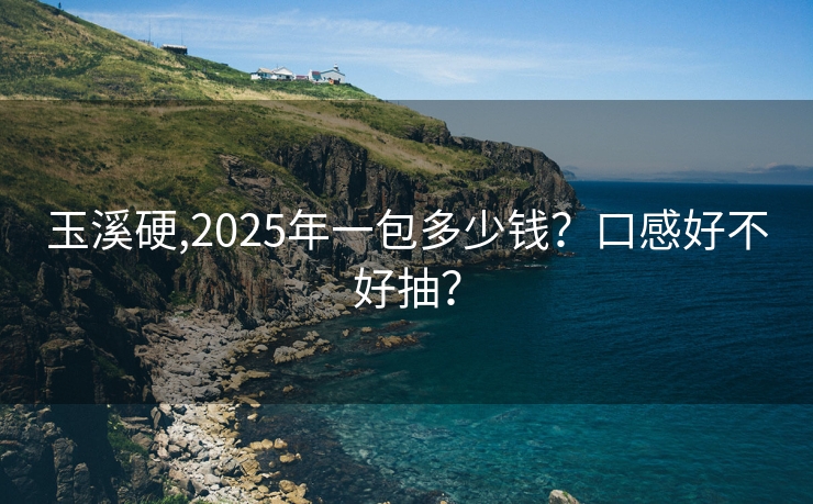 玉溪硬,2025年一包多少钱？口感好不好抽？