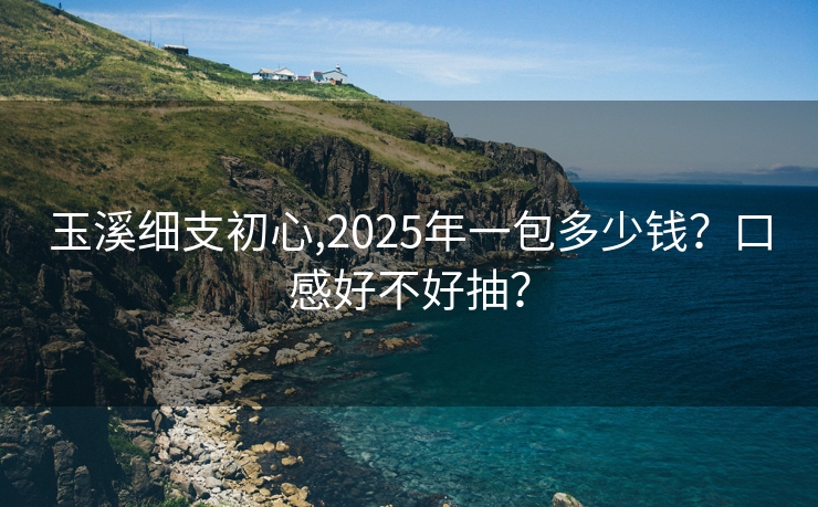 玉溪细支初心,2025年一包多少钱？口感好不好抽？