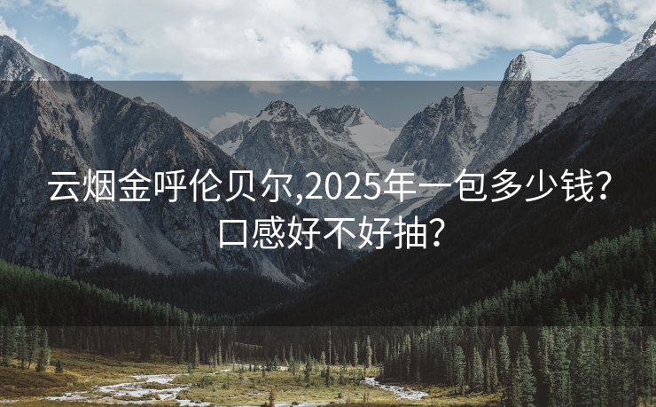 云烟金呼伦贝尔,2025年一包多少钱？口感好不好抽？