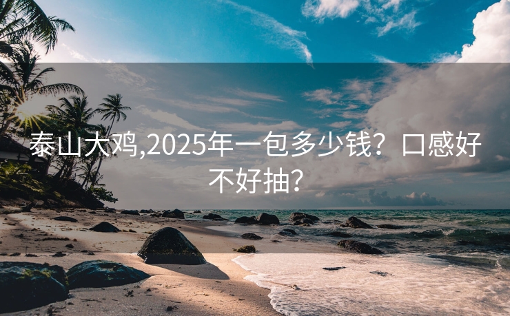 泰山大鸡,2025年一包多少钱？口感好不好抽？
