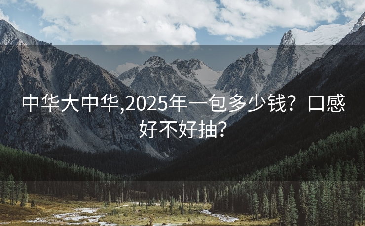 中华大中华,2025年一包多少钱？口感好不好抽？