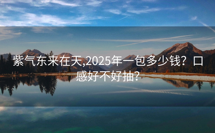 紫气东来在天,2025年一包多少钱？口感好不好抽？