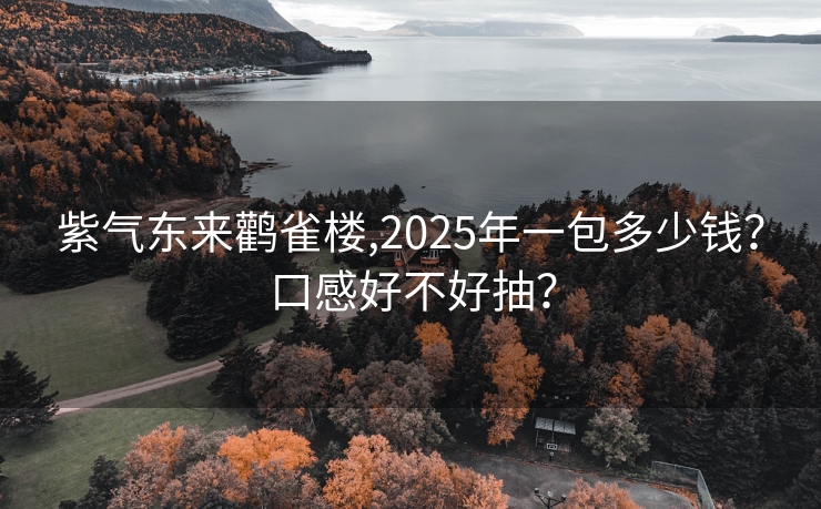 紫气东来鹳雀楼,2025年一包多少钱？口感好不好抽？