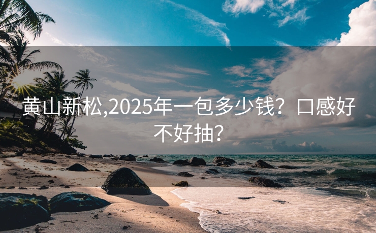 黄山新松,2025年一包多少钱？口感好不好抽？
