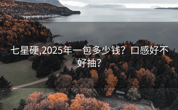 七星硬,2025年一包多少钱？口感好不好抽？