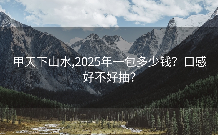 甲天下山水,2025年一包多少钱？口感好不好抽？