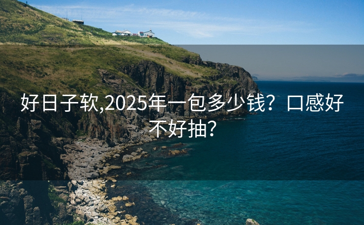 好日子软,2025年一包多少钱？口感好不好抽？