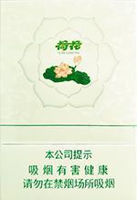 最新钻石烟价目表和图片  全部钻石烟2025一览表 第8张