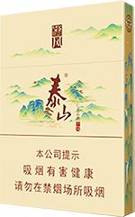 泰山中支烟价格表和图片2025 泰山中支香烟价格大全（完整版）  第2张