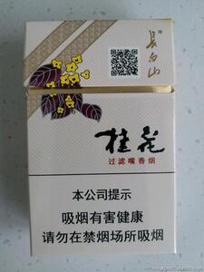 长白山香烟价目表-2025年3月长白山烟价格表汇总  第33张