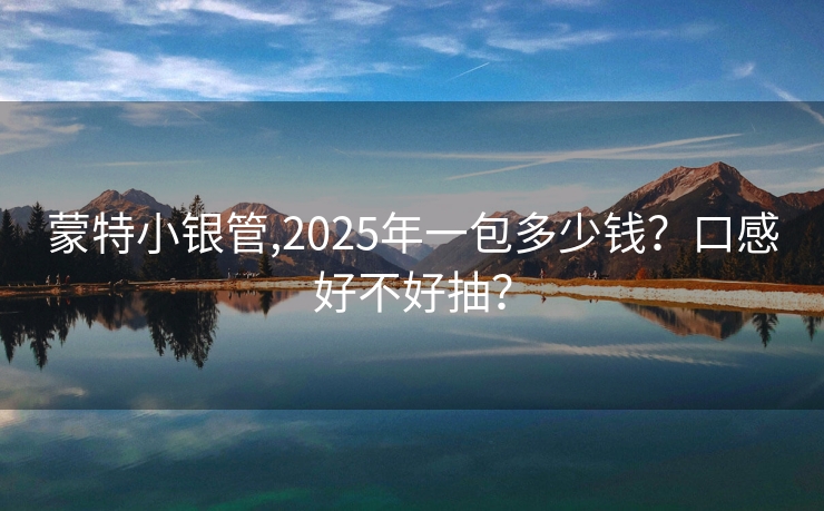 蒙特小银管,2025年一包多少钱？口感好不好抽？
