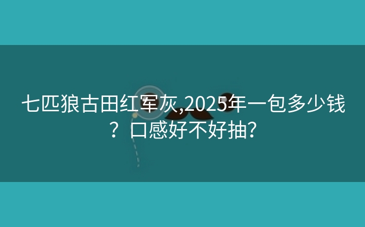 七匹狼古田红军灰,2025年一包多少钱？口感好不好抽？