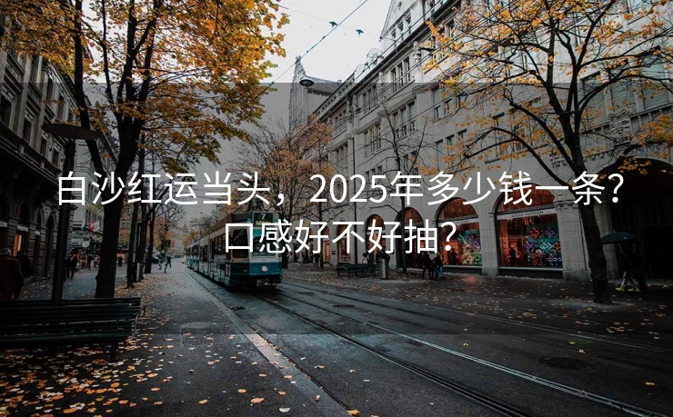 白沙红运当头，2025年多少钱一条？口感好不好抽？