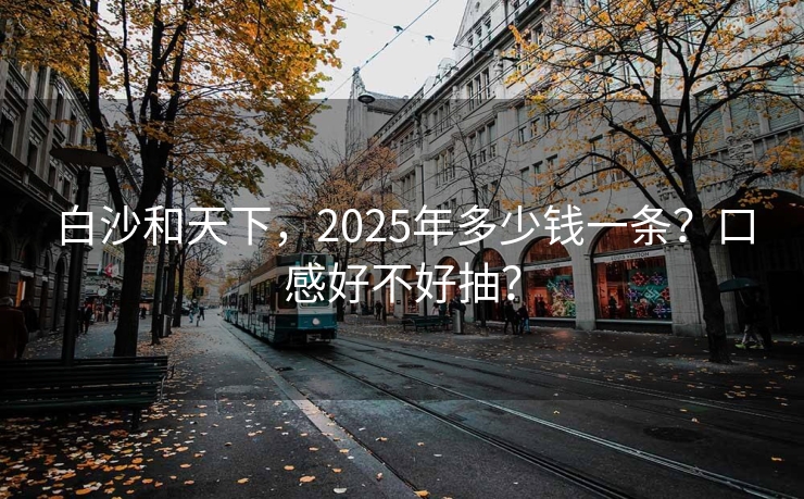 白沙和天下，2025年多少钱一条？口感好不好抽？