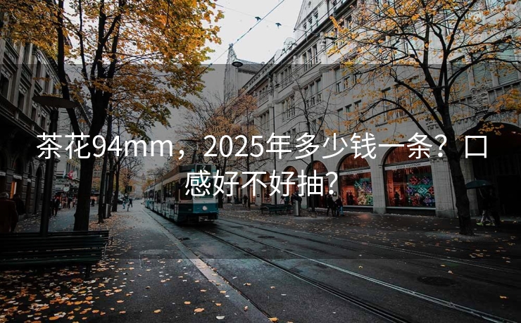 茶花94mm，2025年多少钱一条？口感好不好抽？