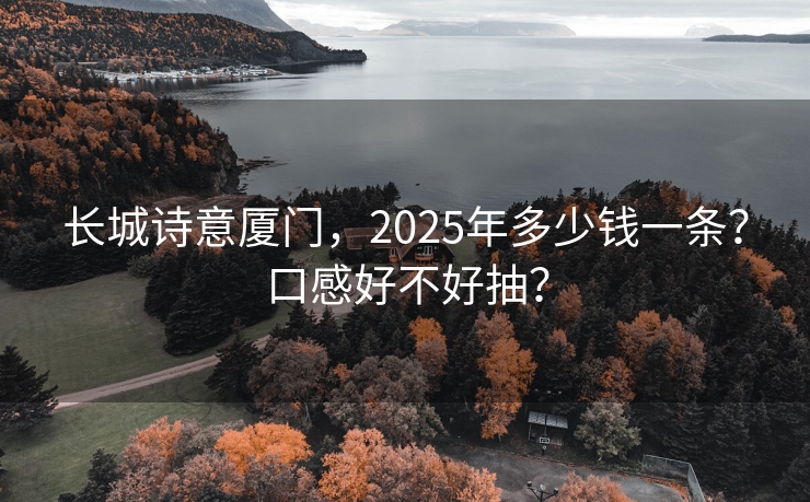 长城诗意厦门，2025年多少钱一条？口感好不好抽？