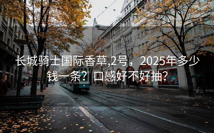 长城骑士国际香草,2号，2025年多少钱一条？口感好不好抽？