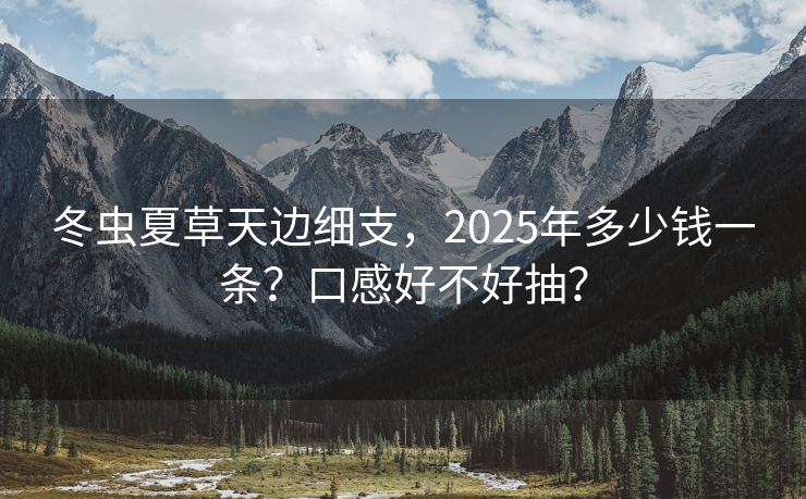 冬虫夏草天边细支，2025年多少钱一条？口感好不好抽？