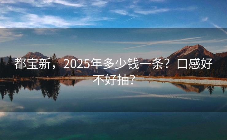 都宝新，2025年多少钱一条？口感好不好抽？