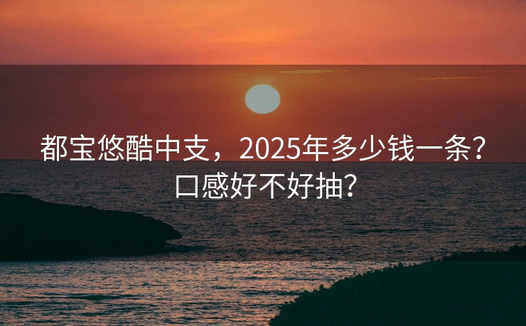 都宝悠酷中支，2025年多少钱一条？口感好不好抽？