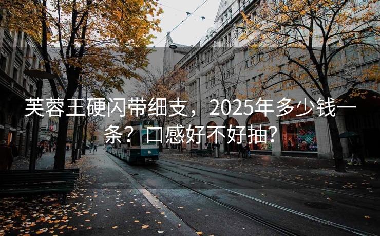 芙蓉王硬闪带细支，2025年多少钱一条？口感好不好抽？