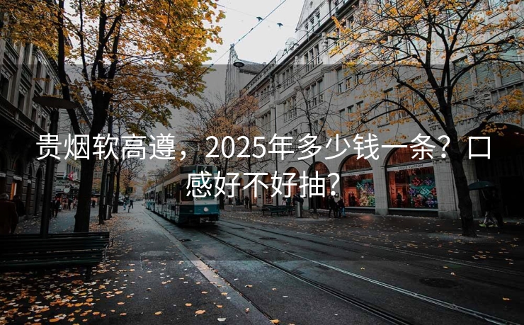 贵烟软高遵，2025年多少钱一条？口感好不好抽？