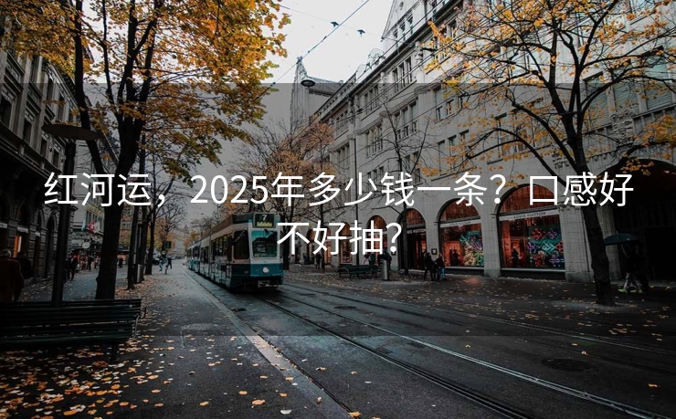 红河运，2025年多少钱一条？口感好不好抽？