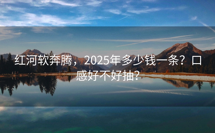 红河软奔腾，2025年多少钱一条？口感好不好抽？