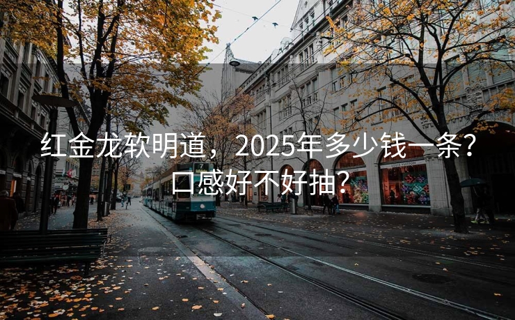 红金龙软明道，2025年多少钱一条？口感好不好抽？