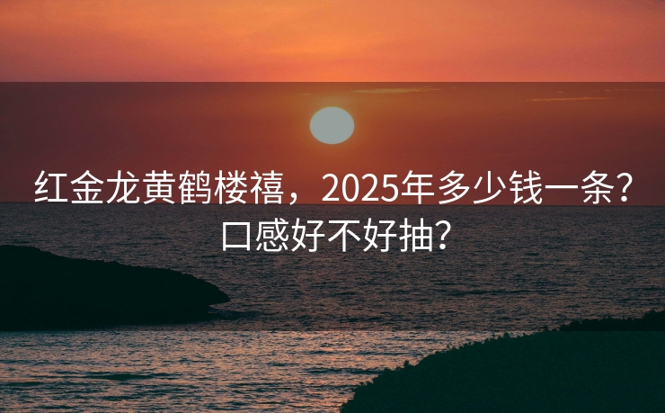 红金龙黄鹤楼禧，2025年多少钱一条？口感好不好抽？