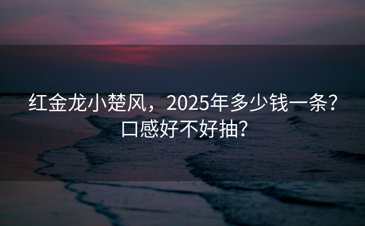红金龙小楚风，2025年多少钱一条？口感好不好抽？
